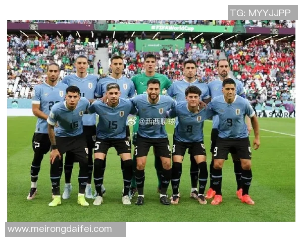 南美智利足球明星的崛起与成就探秘